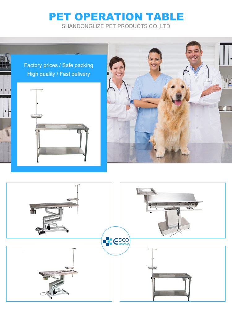 H13aad98355cd42e6aafd93bef76d2cffe - High-quality Veterinary Equipment Steel Pet Operation Table Vet Examination Veterinary Dissecting Surgical Table