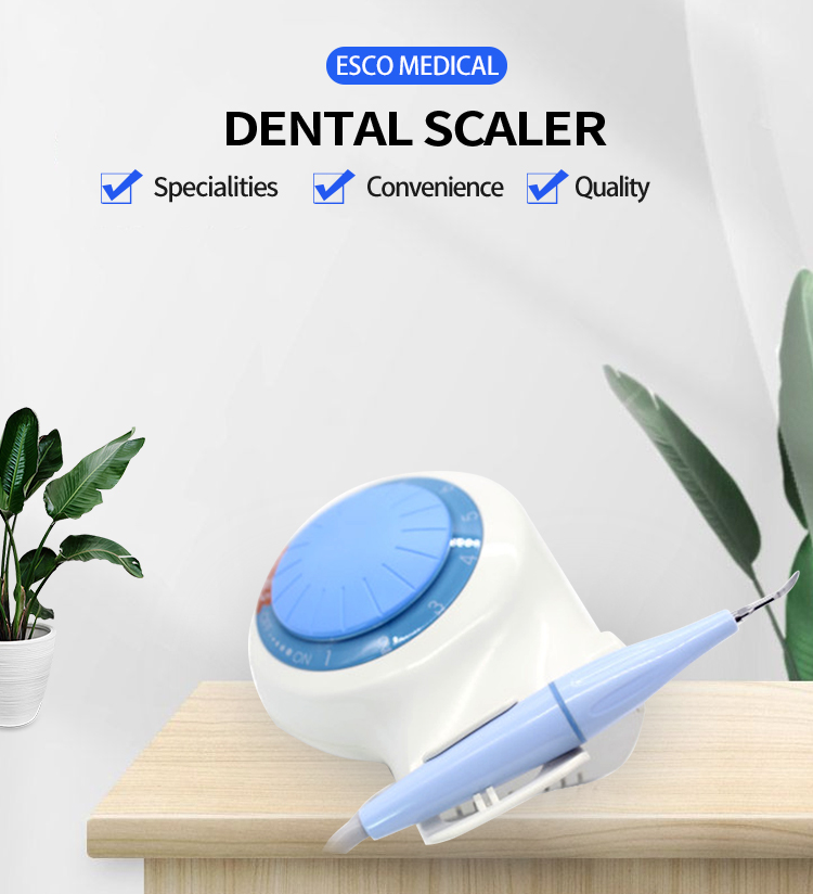 H1457659d7fd944c5b4176d89667ded86A - CE Certified Good Quality Veterinary Equipment Classic Model Veterinary Scaler Ultrasonic Dental Scaler For Dogs