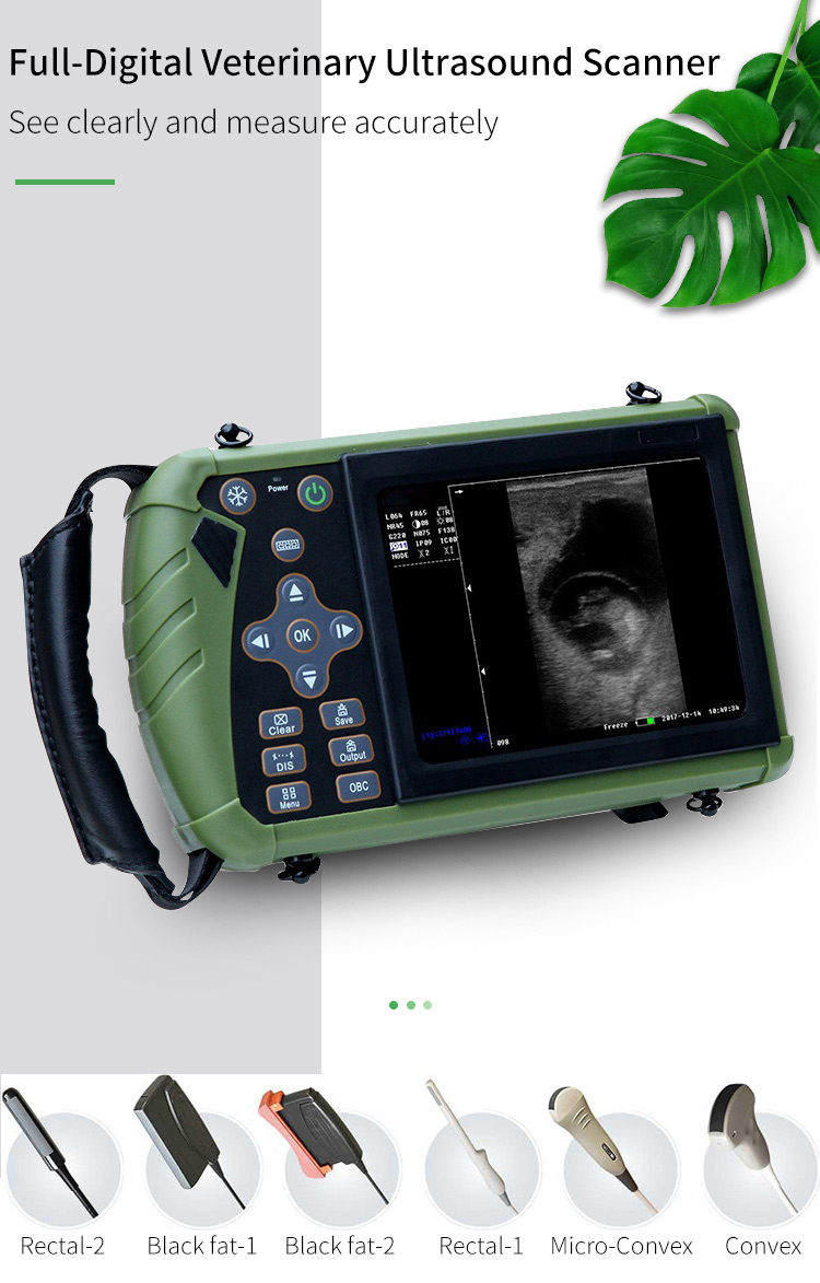 H3432bcdcc9264270babc01ef962948ecZ - Veterinary Pregnancy Test Light And Portable Doppler Ultrasound Scanner Veterinary Ultrasound Machine Price