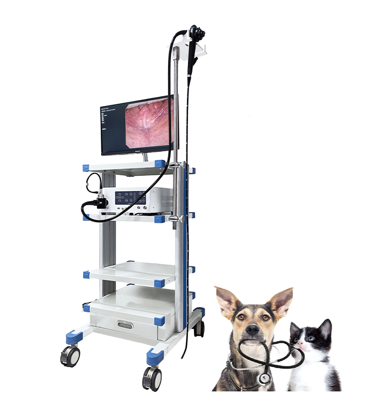 Hb941418d610e4ef2be6b7abe496d50c4O 1 - CE Certified Assist In Equipment Flaw Detection Veterinary Equipment Small Animal Vet Video Endoscope For Veterinary Hospital