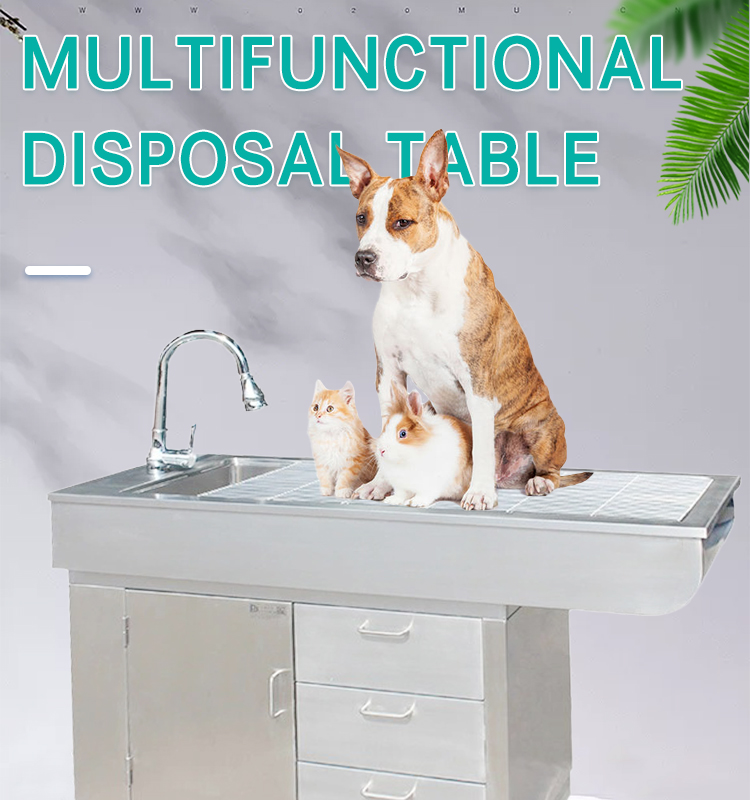 He2962512f83543d594cf7a352e2f5944d - Manufacturer Price Multi-functional Vet Disposal Table Smooth Durable Reliable Performance Veterinary Examination Table