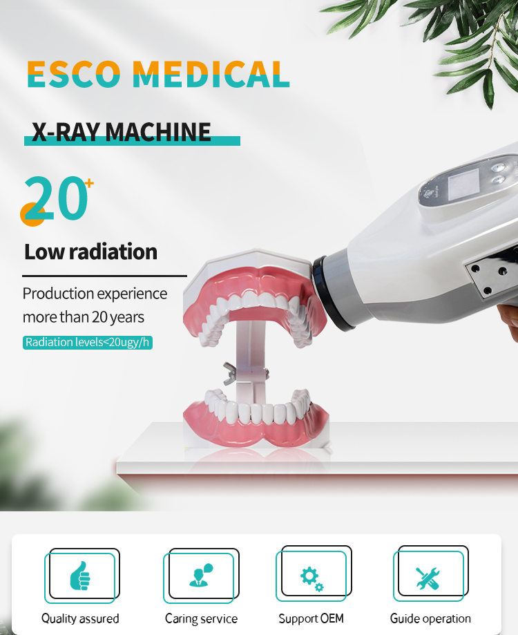U54df48f2b58545bfab5cf780d32399261 1 - High Quality Low Radiation Vet Dental Equipment Portable Digital Dental X-ray Machine Price For Veterinary Hospital