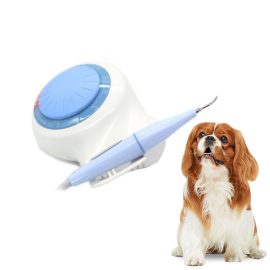 CE Certified Good Quality Veterinary Equipment Classic Model Veterinary Scaler Ultrasonic Dental Scaler For Dogs